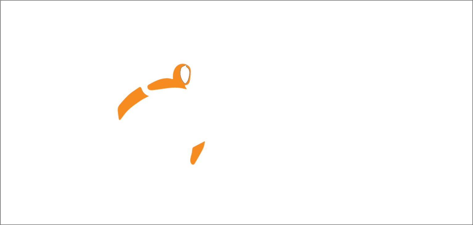 Mineral Processing Guru